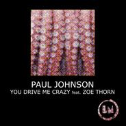 You Drive Me Crazy