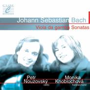Viola da Gamba Sonata in D Major, BWV 1028: I. Adagio (Arr. for Cello & Harpsichord)