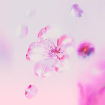 SAKURA (feat. Taka Perry) - Single