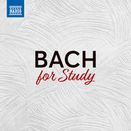 Brandenburg Concerto No. 6 in B-flat Major, Bwv 1051: Ii. Adagio ma non tanto