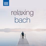 Mass in B Minor, BWV 232: Agnus Dei: Agnus Dei