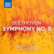Symphony No. 5 in C Minor, Op. 67: I. Allegro con brio