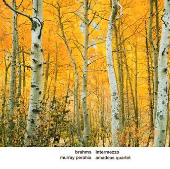 Brahms: Intermezzo