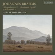 Johannes Brahms: 2 Rhapsodies Op. 79 · 3 Intermezzi Op. 117 · 16 Waltzes Op. 39