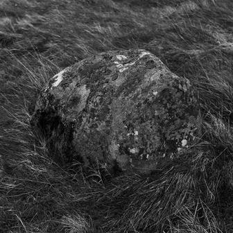 Stone
