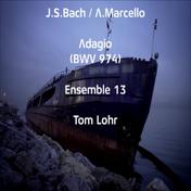 Adagio für Gitarre und kleines Orchester, BWV 974
