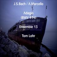 Adagio für Gitarre und kleines Orchester, BWV 974