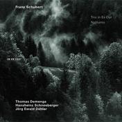 Schubert: Piano Trio in E-Flat Major, D. 929; Notturno