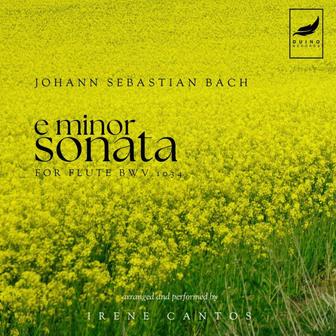 Flute Sonata in E Minor, BWV 1034