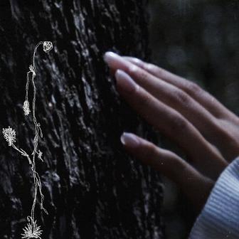 sleepwalking