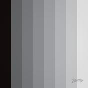 Silver Echoes (Shorter)