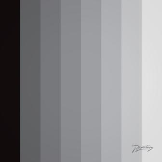 Silver Echoes (Shorter)