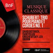 Trio pour piano et cordes No. 1 in B-Flat Major, Op. 99, D. 898: II. Andante un poco mosso