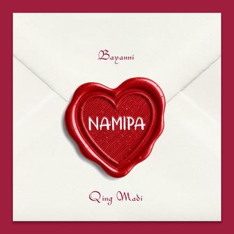 Namipa