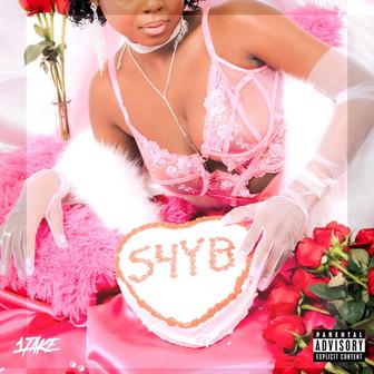 Songs 4 Your Bitch