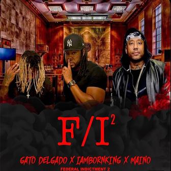 Federal Indictment 2 (Extended Version)