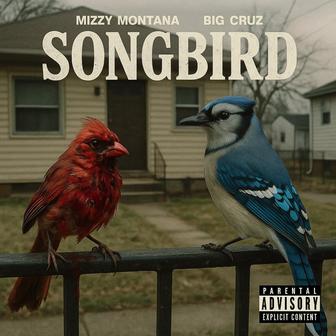 Song Bird