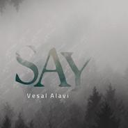 Say
