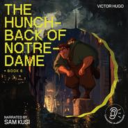 Chapter 16 - The Hunchback of Notre-Dame (Book 6)