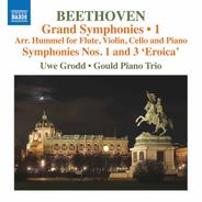 Symphony No. 1 in C Major, Op. 21 (Arr. J. N. Hummel for Flute & Piano Trio): I. Adagio molto - Allegro con brio
