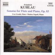 Flute Sonata in G Major, Op. 83, No. 1: II. Introduzione. Ancien air suedois. Andantino quasi allegretto