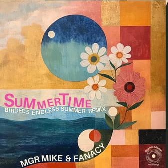 Summertime (Birdee's Endless Summer Radio Edit)