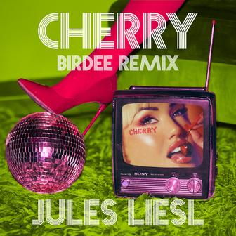 CHERRY (Birdee Remix)