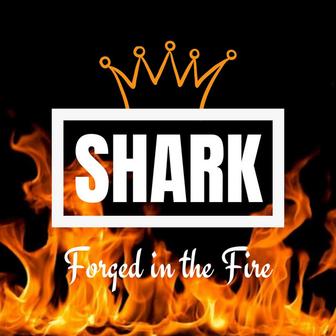 Forged in the Fire