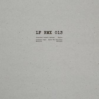 LF RMX 013