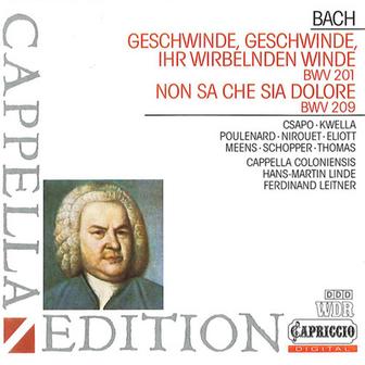 Bach: Geschwinde, ihr wirbelnden Winde