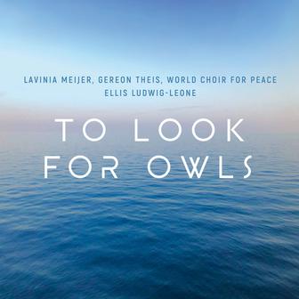To Look for Owls