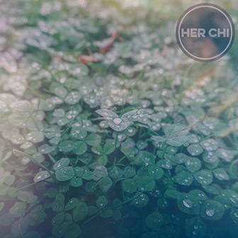 Morning Dew