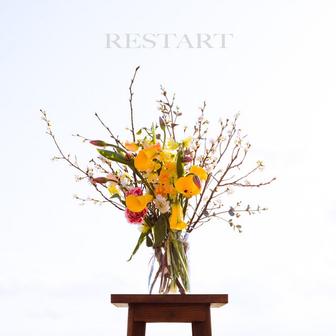 RESTART