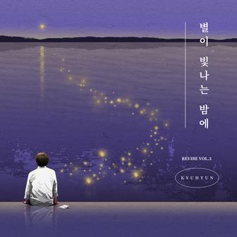 On A Starry Night (REVIBE Vol.3)
