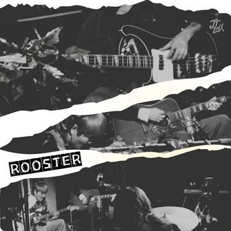 Rooster (East Iris Session)