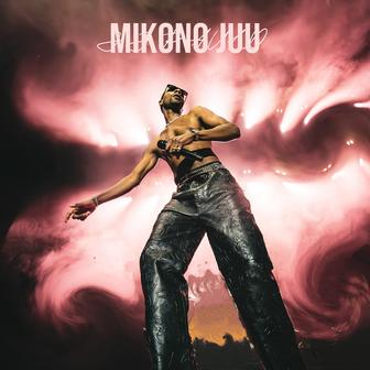 Mikono Juu