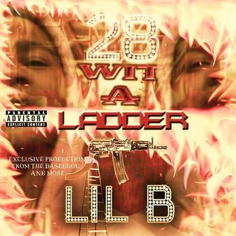 28 Wit a Ladder