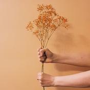 Theory - Single