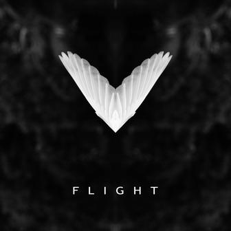 Flight