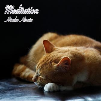 Meditation