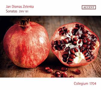 Zelenka: 6 Sonatas, ZWV 181