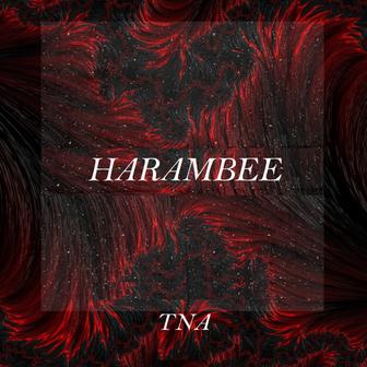 Harambee (Afro)
