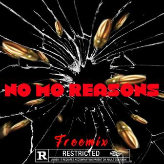 No Mo Reasons (Freemix)