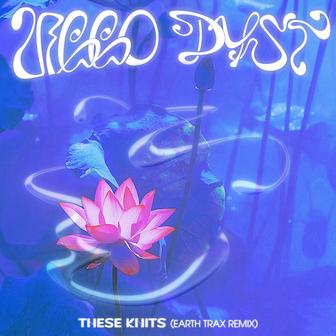 These Knits (Earth Trax Remix)