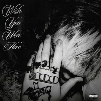 WISH YOU WERE HERE