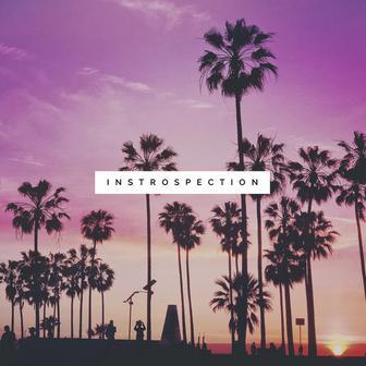 Instrospection
