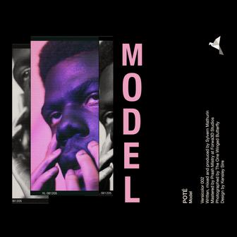 Model - Single