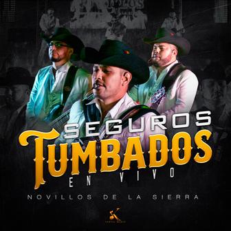 Seguros Tumbado - Single