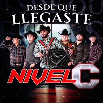 Desde Que Llegaste - Single