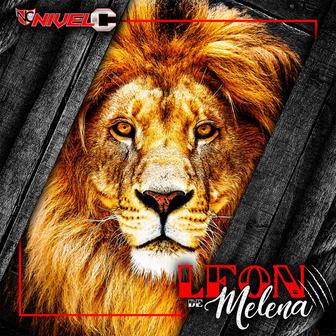 León de Melena - Single